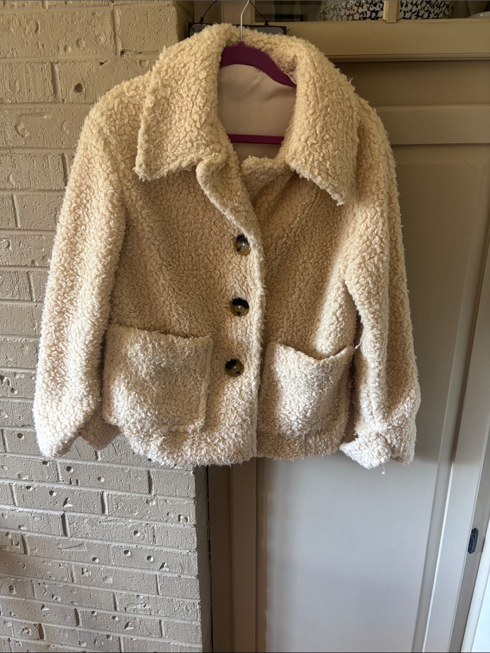 Free People Teddy Jacket